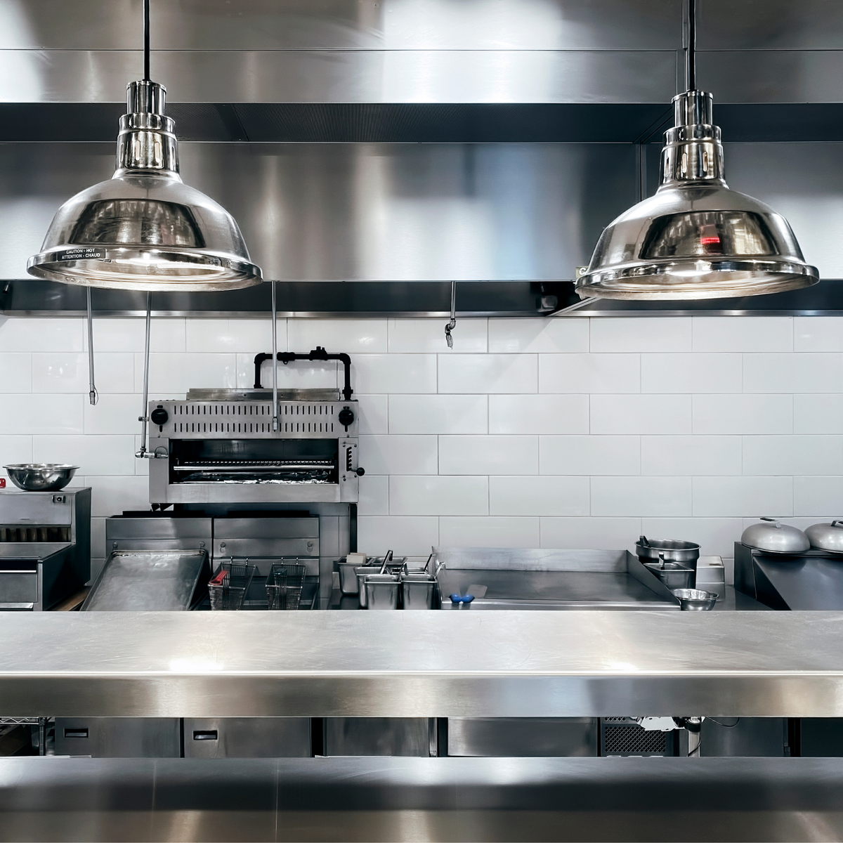 Lex Hygiene - 20% discount on kitchen extract cleaning when you take our pest control services