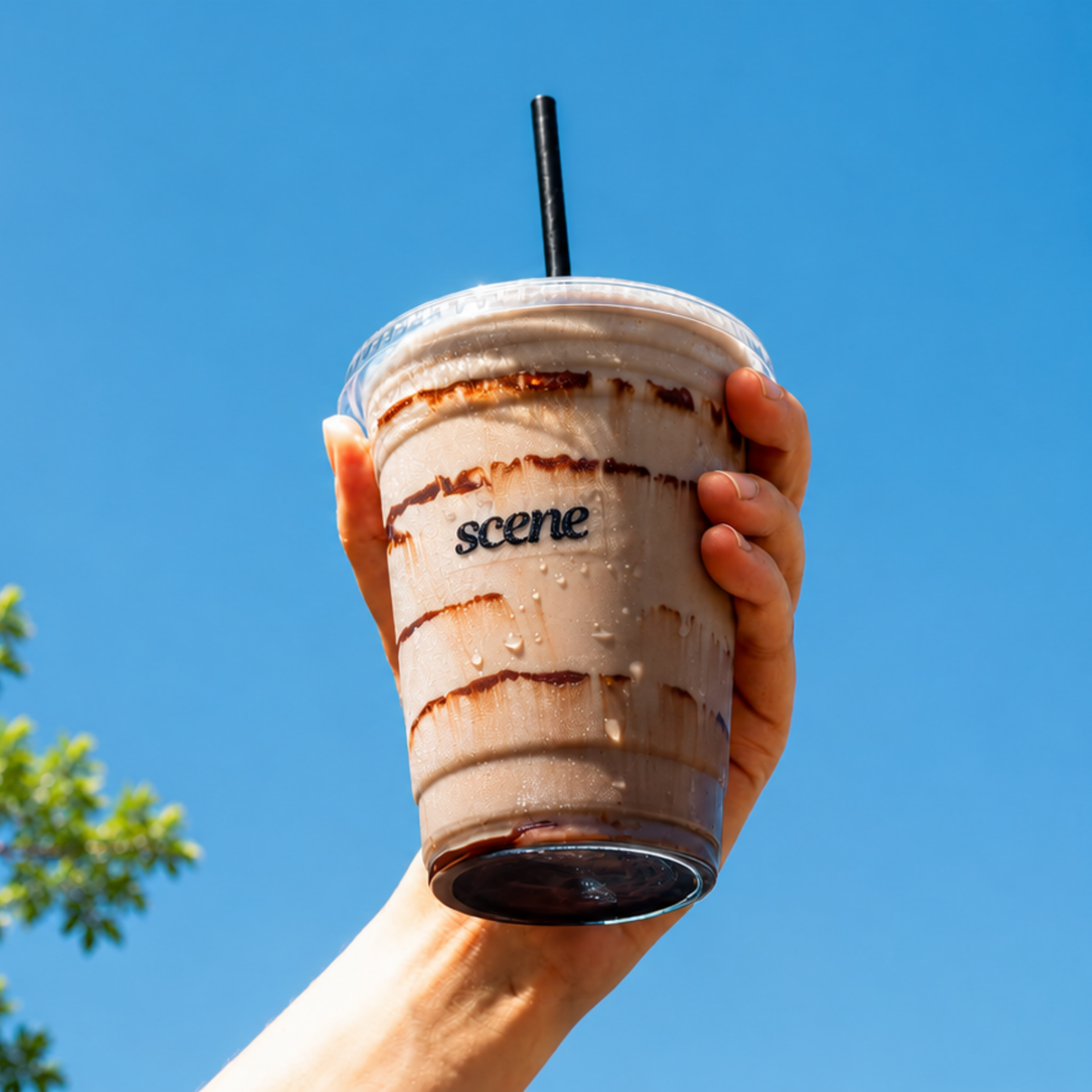 15% off all Drinks at Scene